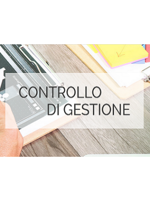 Controllo di Gestione